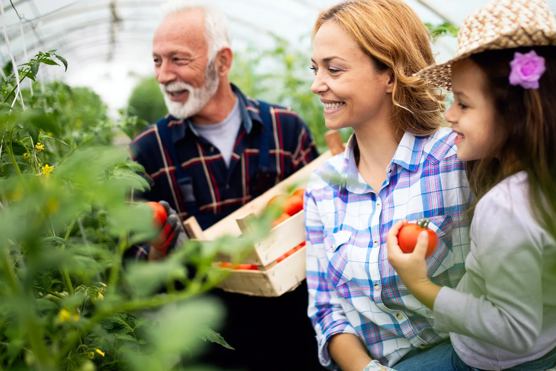 Boise Hears lifestyle visual: Istock 1135105977